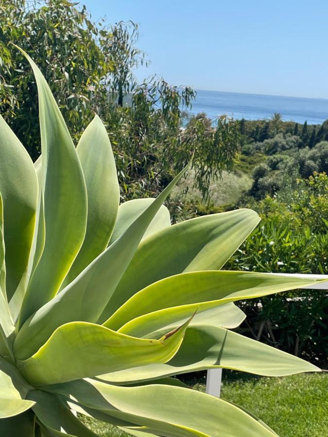 Villa J9 Zahara de los Atunes Exteriér fotografie